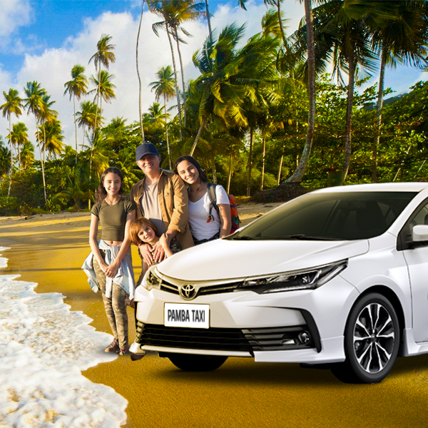 family packages, Pampa Taxi and Tours - Sabarimala Taxi Services